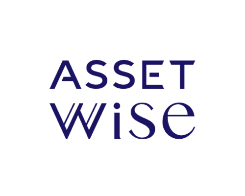 Asset Wise