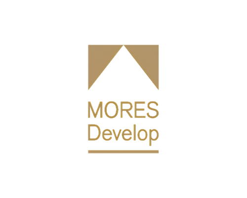 BrandStromX-Digital-Marketing-Agency-Clients-Logo-Mores
